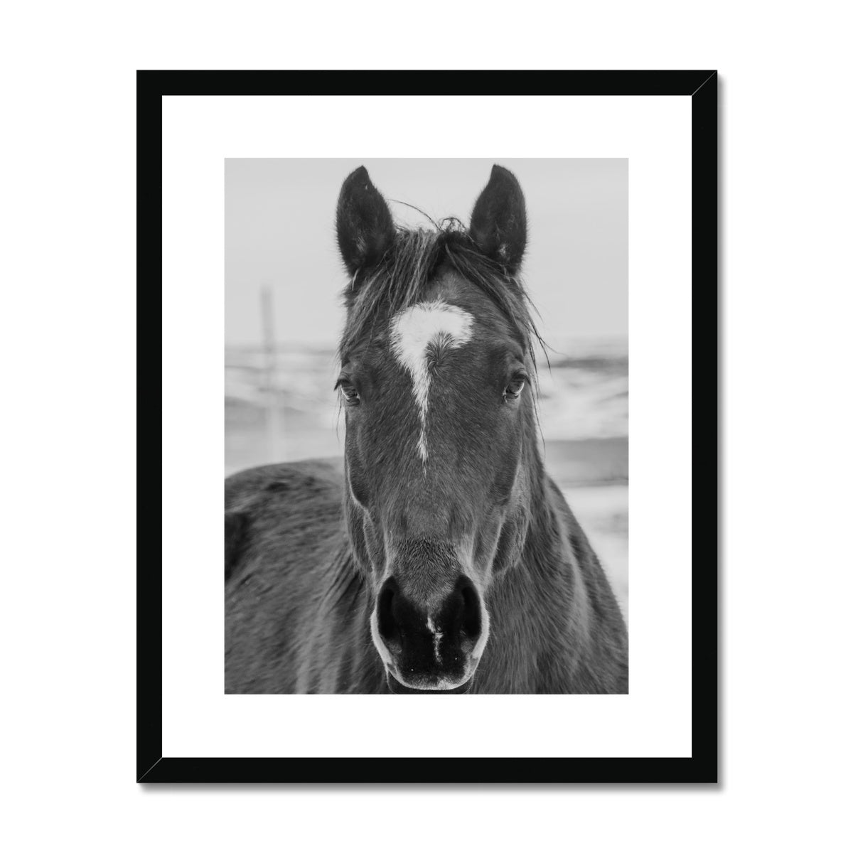 Simple Framed & Mounted Print