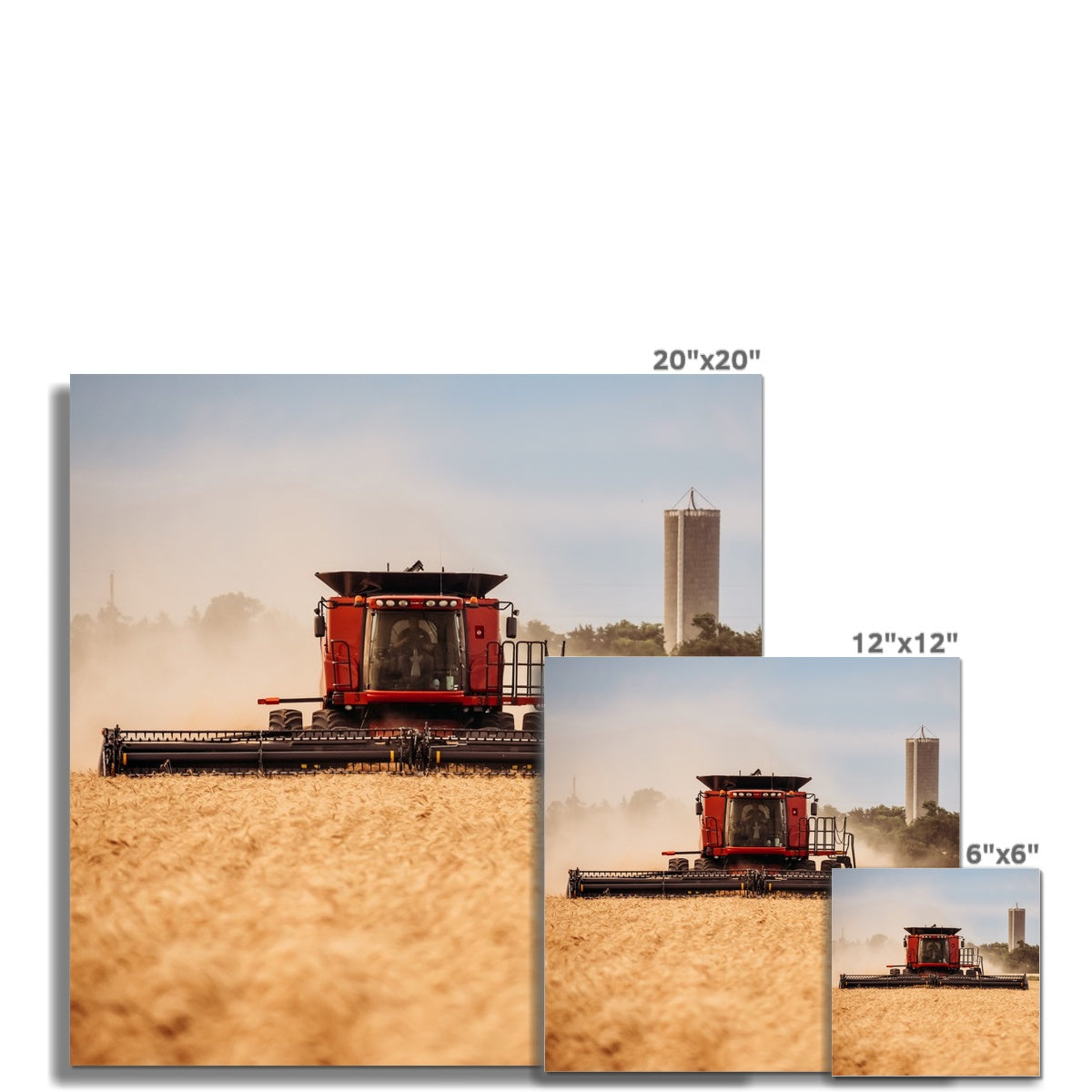 Harvest Time Photo Art Print