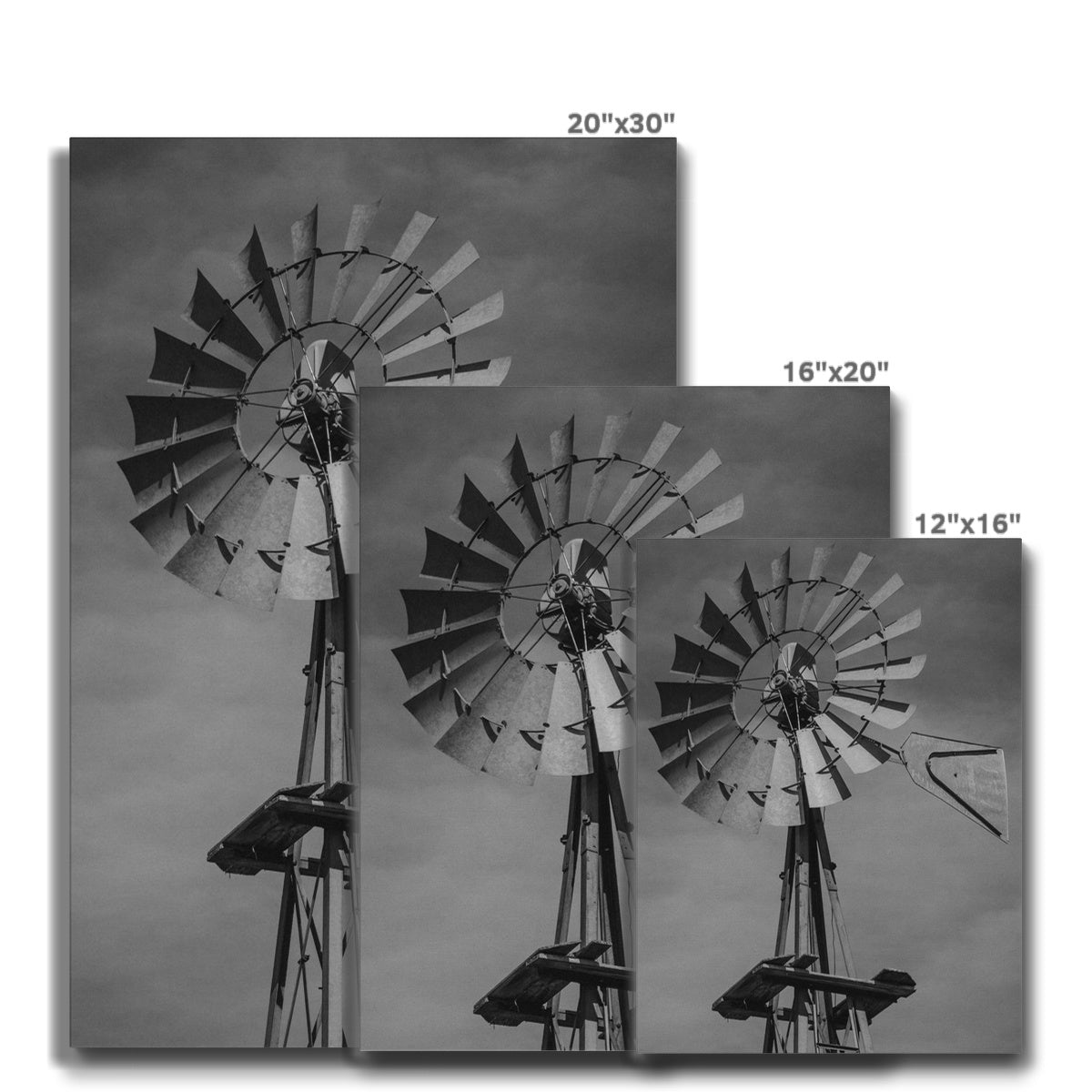 B&W Windmill Vertical Canvas