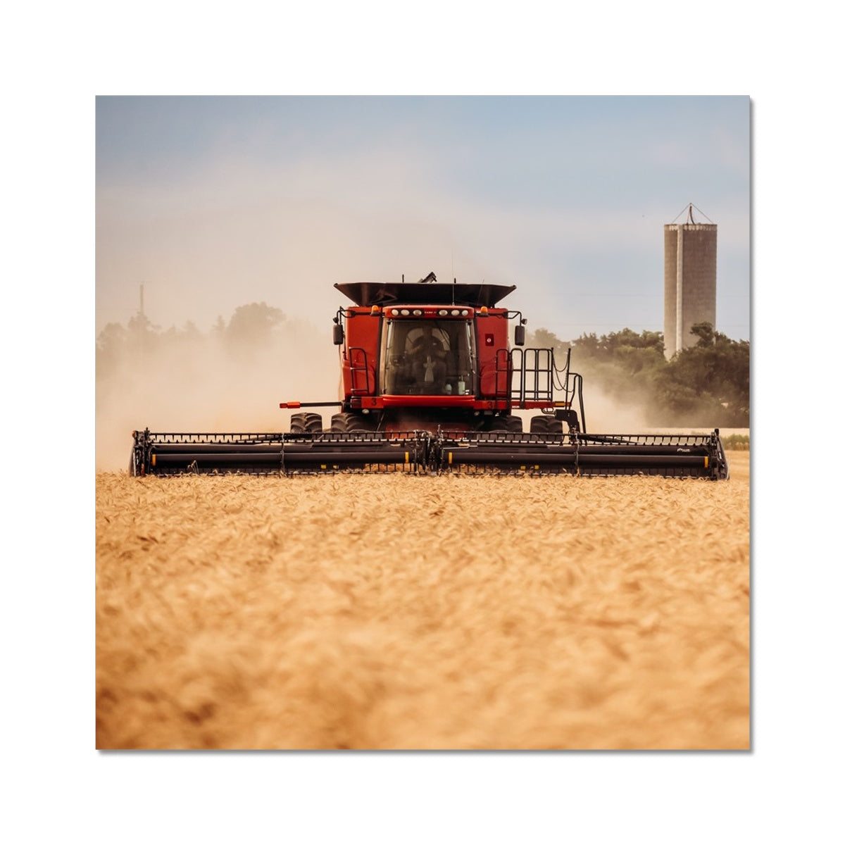 Harvest Time Photo Art Print