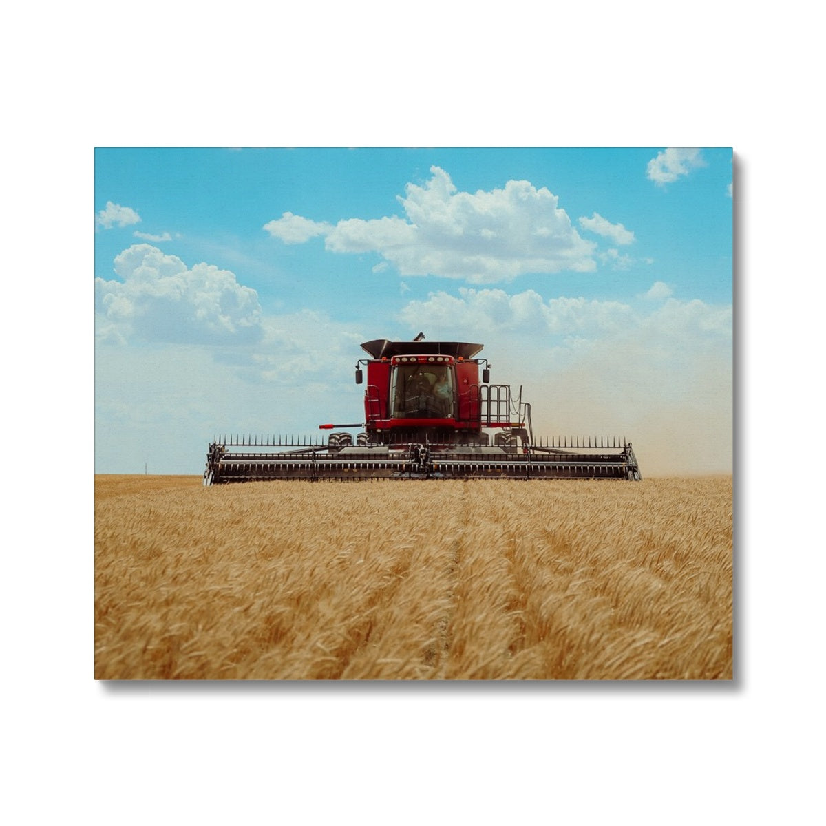 Golden Harvest Canvas