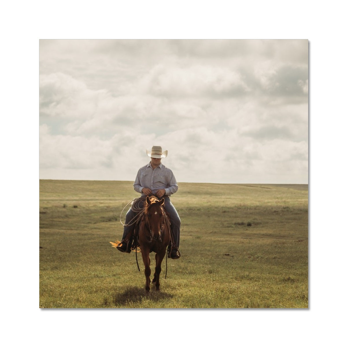 Homeward Bound Photo Art Print