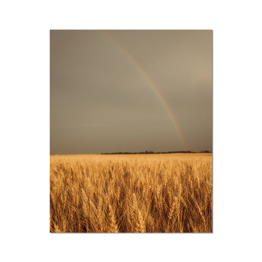 Wheat of Hope Photo Art Print