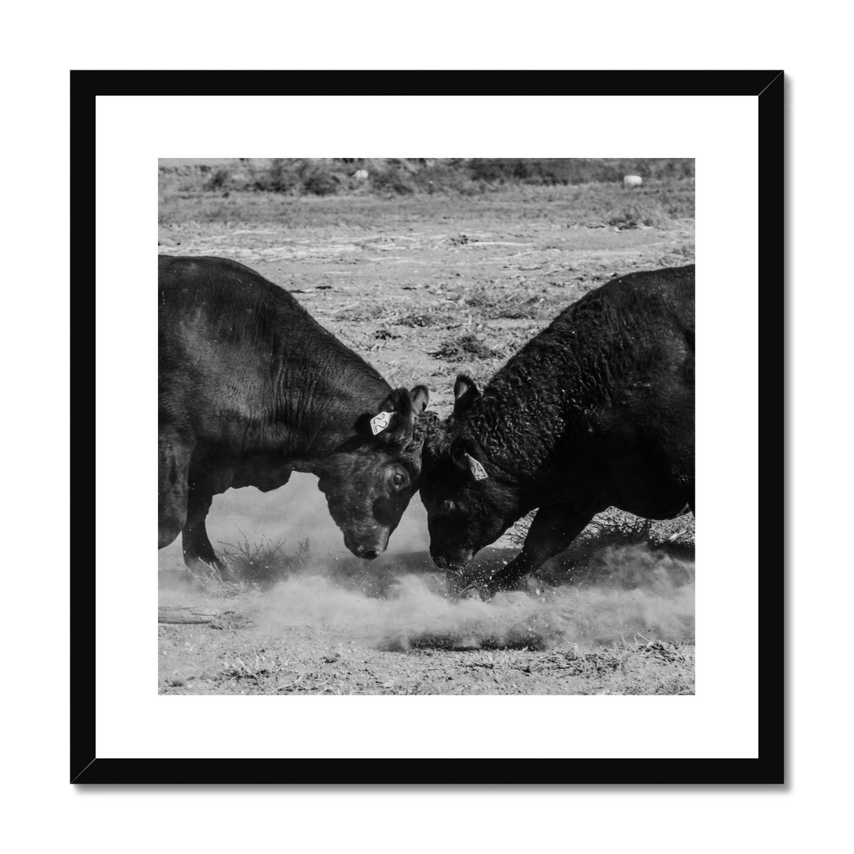 The Fight is On Framed & Mounted Print