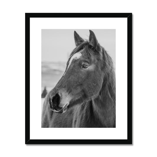 Pure Framed & Mounted Print