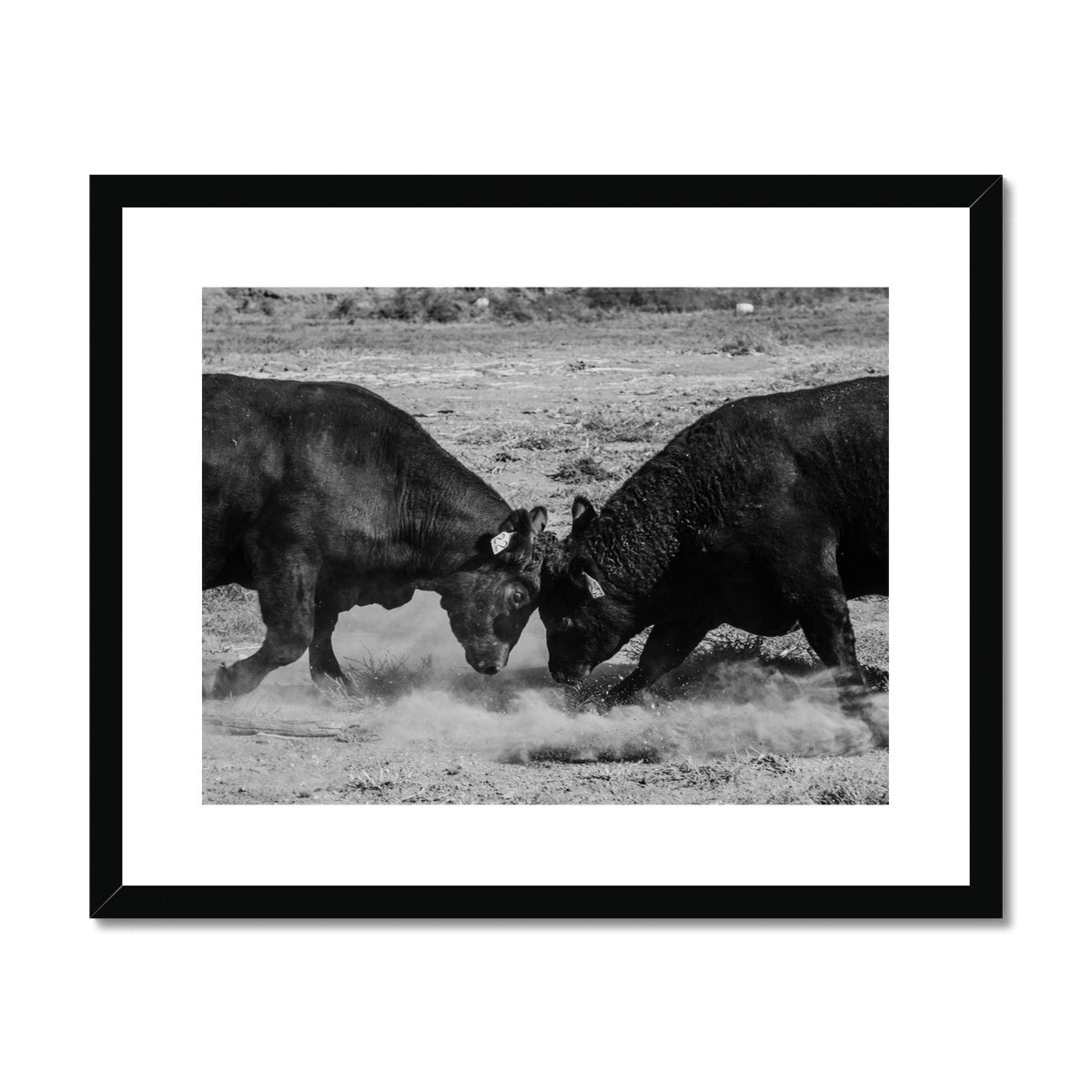 The Fight is On Framed & Mounted Print