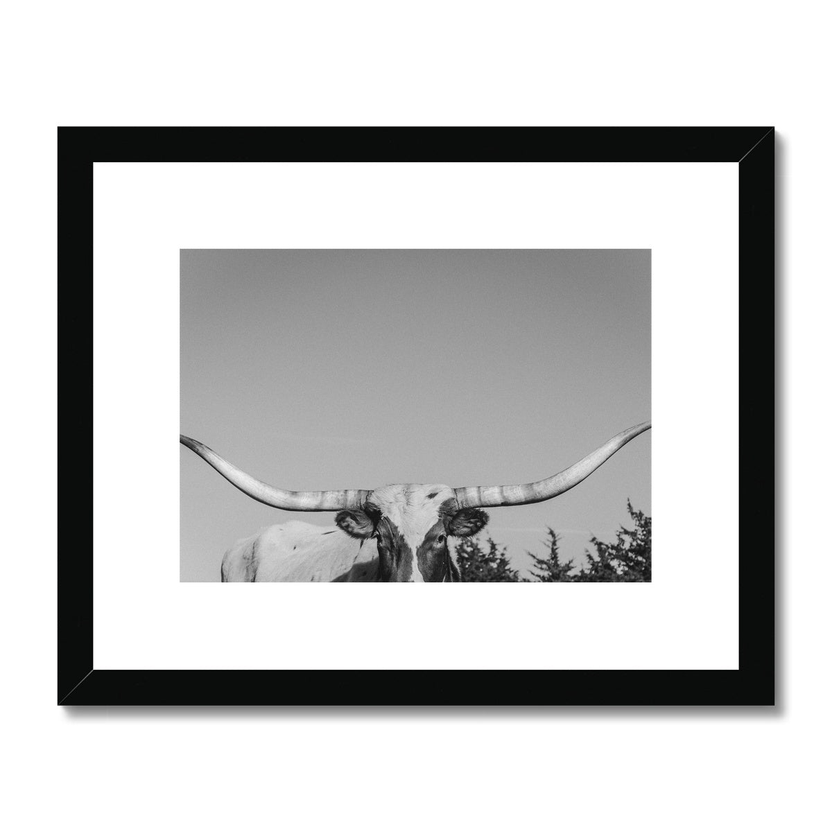 Horned Framed & Mounted Print