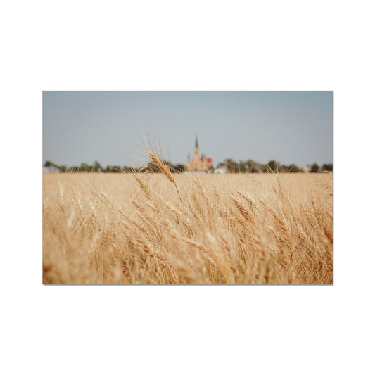 Faith in the Grain Photo Art Print