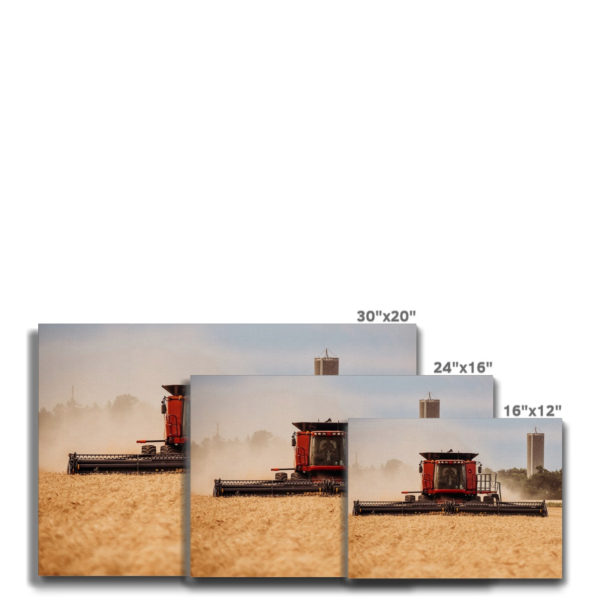 Harvest Time Canvas