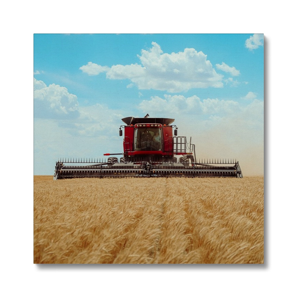 Golden Harvest Canvas